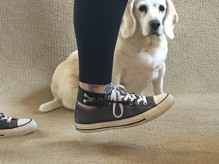 FreedomWalkAFO FreedomWalkAFO Free Flex Drop Foot Braces step 2of4 with my Beagle Lucy